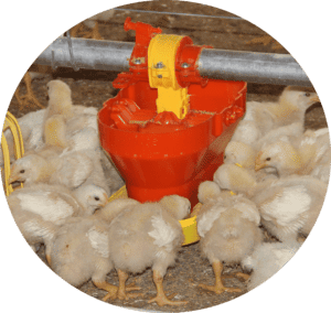 turbomix-chick-feeder