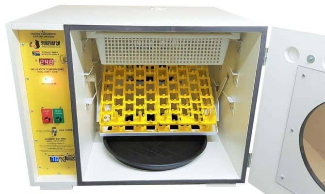 surehatch-sh180-egg-incubator