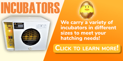 INDIV incubators we carry a variety of incubators in different sizes to meet your hatching needs