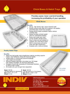 chick-boxes-hatch-trays