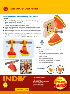 turbomate-chick-feeder