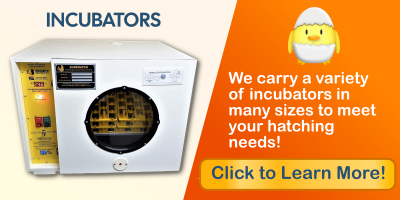 Incubators