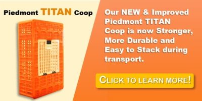 titan-indiv-usa-banner